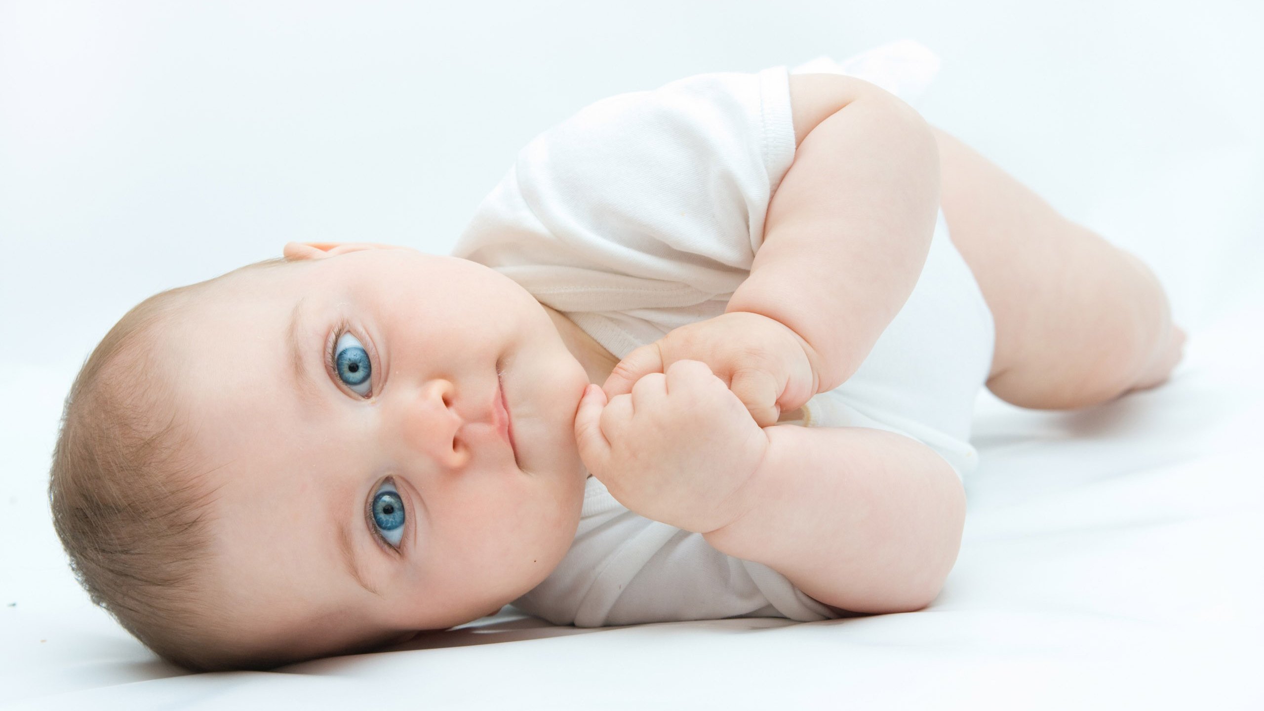 捐卵招聘试管婴儿囊胚成功率